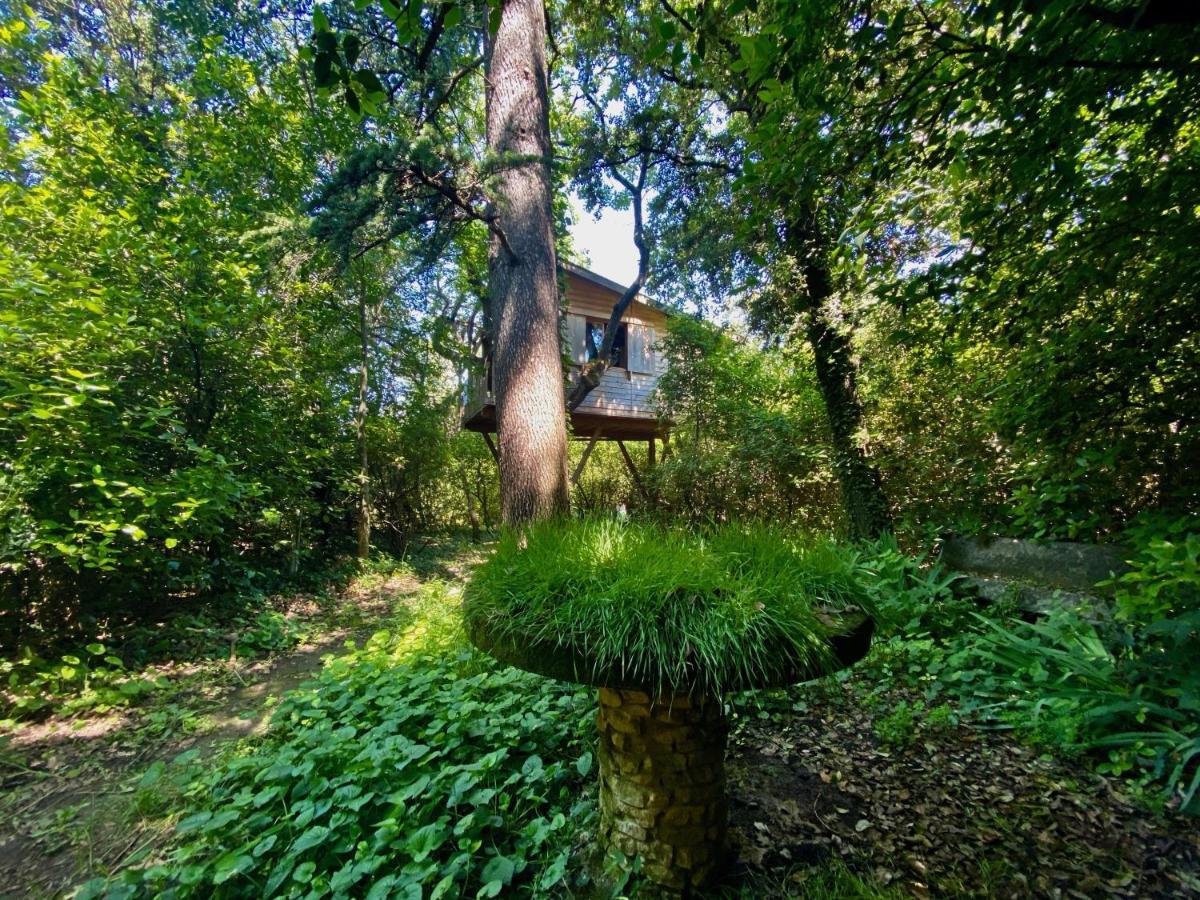 La Bastide Du Bois Breant Hotel Maubec  Exterior photo
